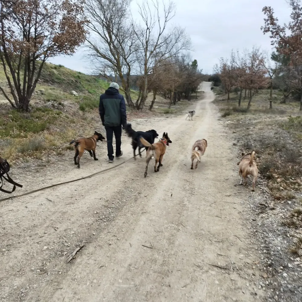 formations et stages