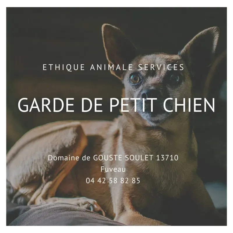 Faire garder son petit chien entre Aix en Provence et Marseille, proche de gardanne à la campagne