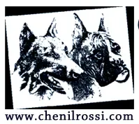 CHENIL ROSSI depuis 1970 / ETHIQUE ANIMALE SERVICES depuis 2018 Pension éducation élevage et autres services animaliers sur Fuveau proche d'Aix-en-Provence