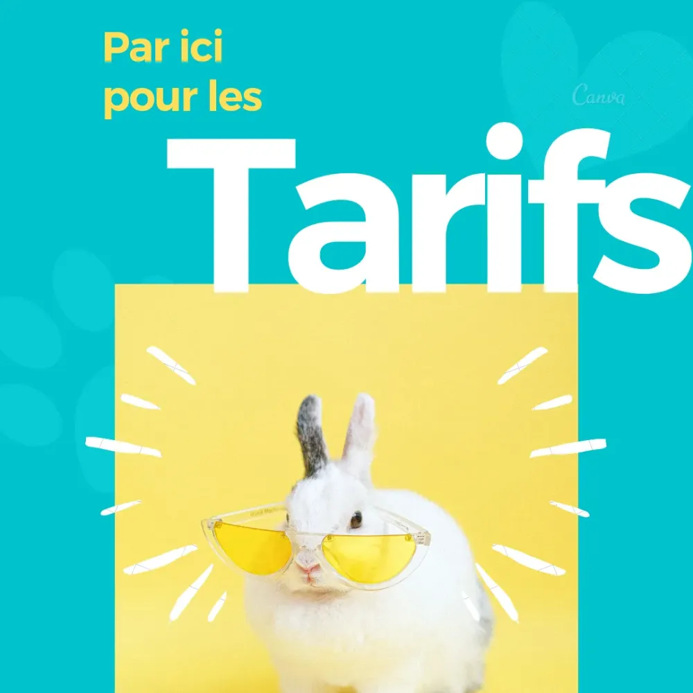 Tarifs pour la garde de vos NAC (lapins cochons d'inde hamsters Furet etc ...)