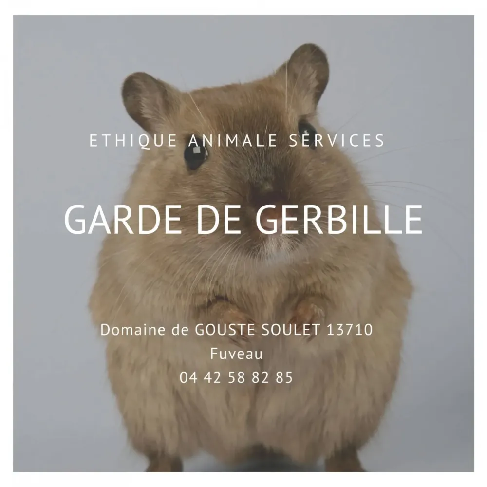 Faire garder sa gerbille pendant les vacances sur Fuveau à côté de Gardanne