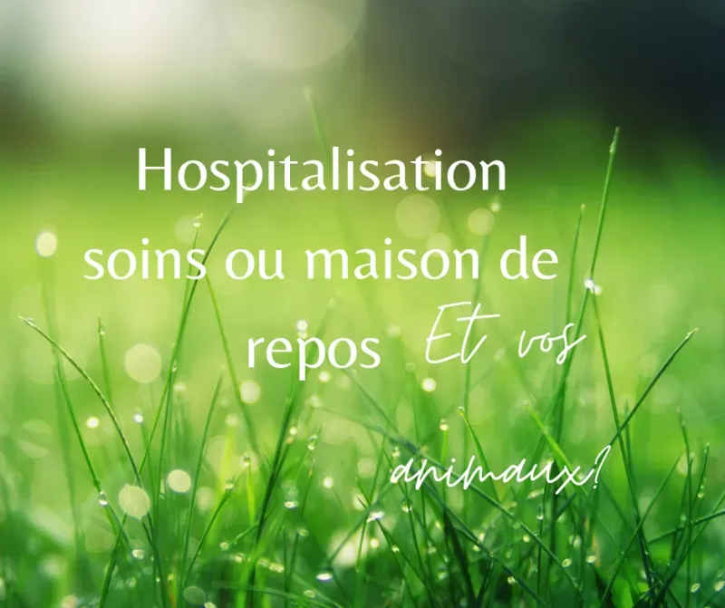 Hospitalisation et besoin de faire garder votre animal entre Aix-en-Provence et Marseille