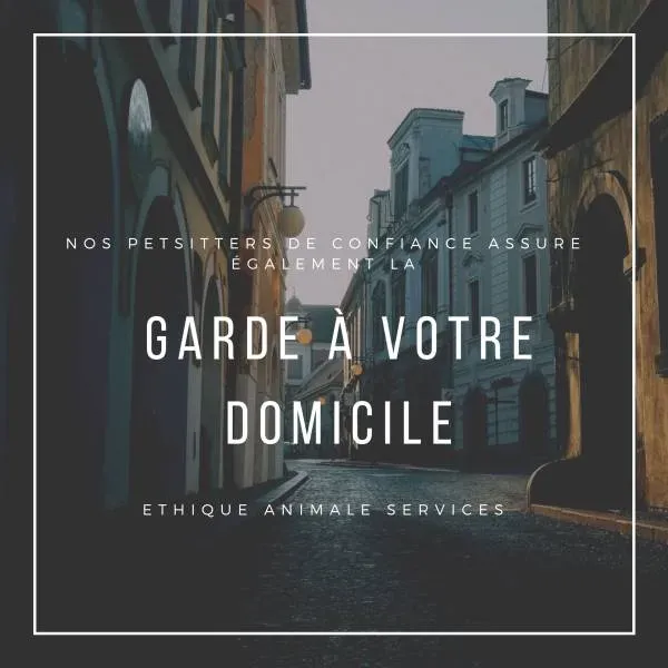 CAT SITTER A VOTRE DOMICILE sur le 13