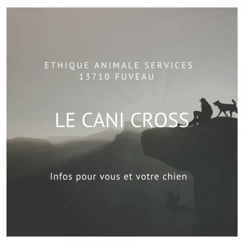 Faire du sport avec son chien: CANI CROSS, CANI marche, CANI Rando, CANI VTT !
