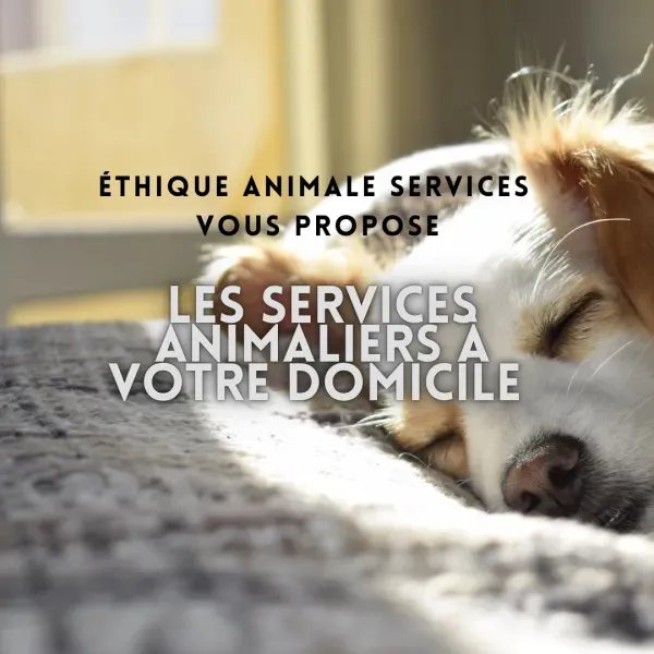 LES SERVICES ANIMALIERS à votre DOMICILE, c'est aussi possible avec Ethique Animale Services autour de Fuveau entre Aix-en-Provence et Marseille
