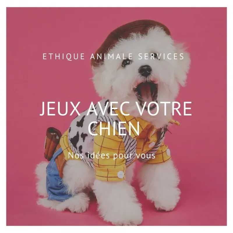 Idées de jeux avec votre chien !