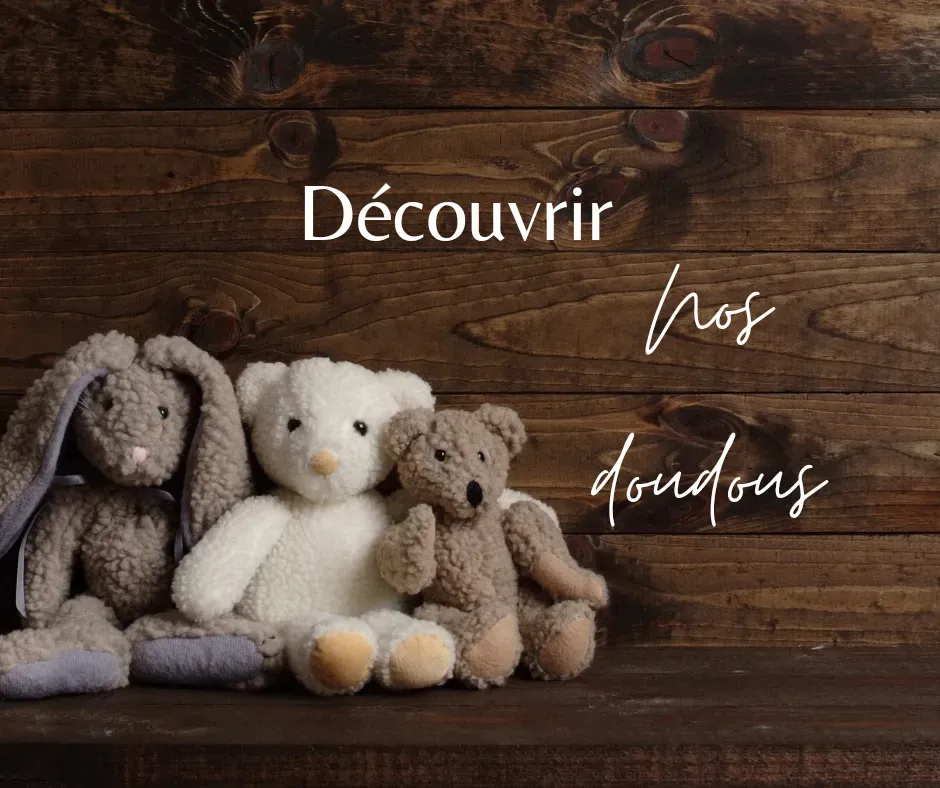 Notre sélection de Doudou pour chiot et chiens