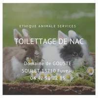 faire toiletter son lapin